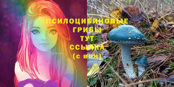 мяу мяу мука Армянск