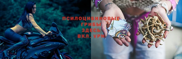 мяу мяу мука Армянск