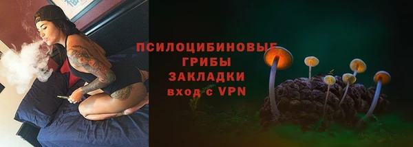 дживик Аркадак