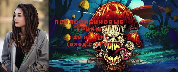 СК Арсеньев