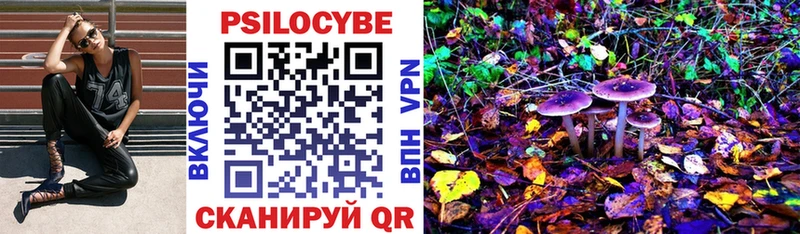 Галлюциногенные грибы Psilocybine cubensis  блэк спрут   Дедовск 
