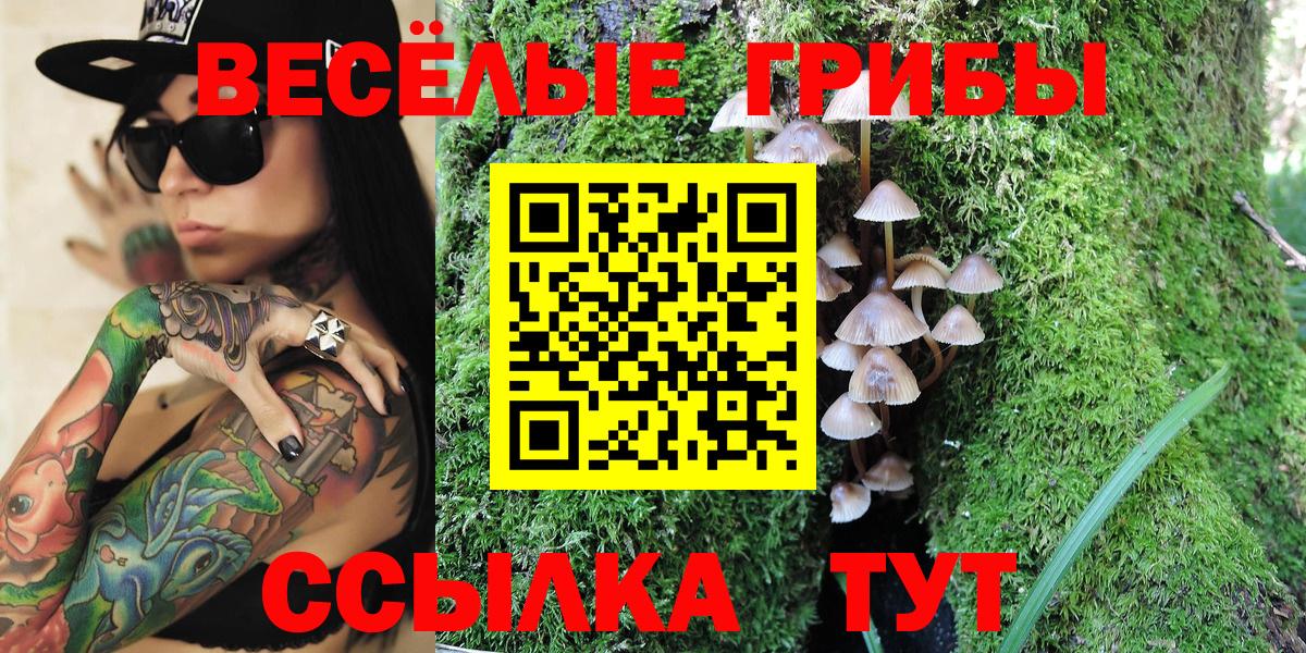Псилоцибиновые грибы Psilocybine cubensis Дедовск